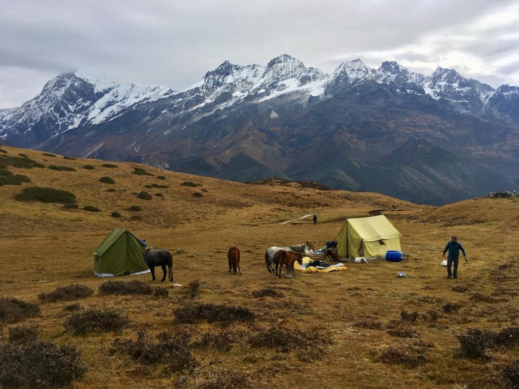 Mountain Tours & Travels景点图片