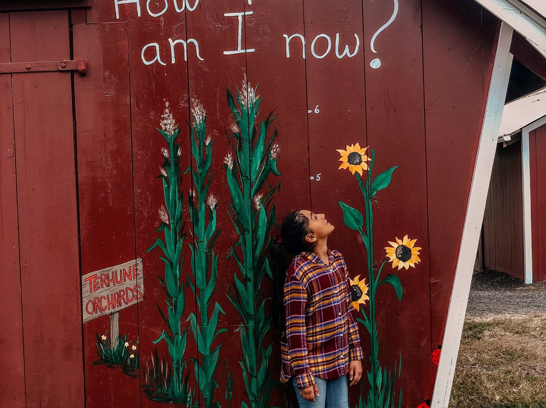 Terhune Orchards & Winery-Lawrence Township必去景点
