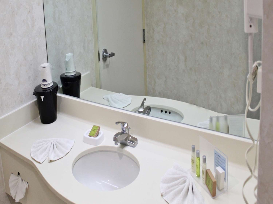 Hampton by Hilton Saltillo主图