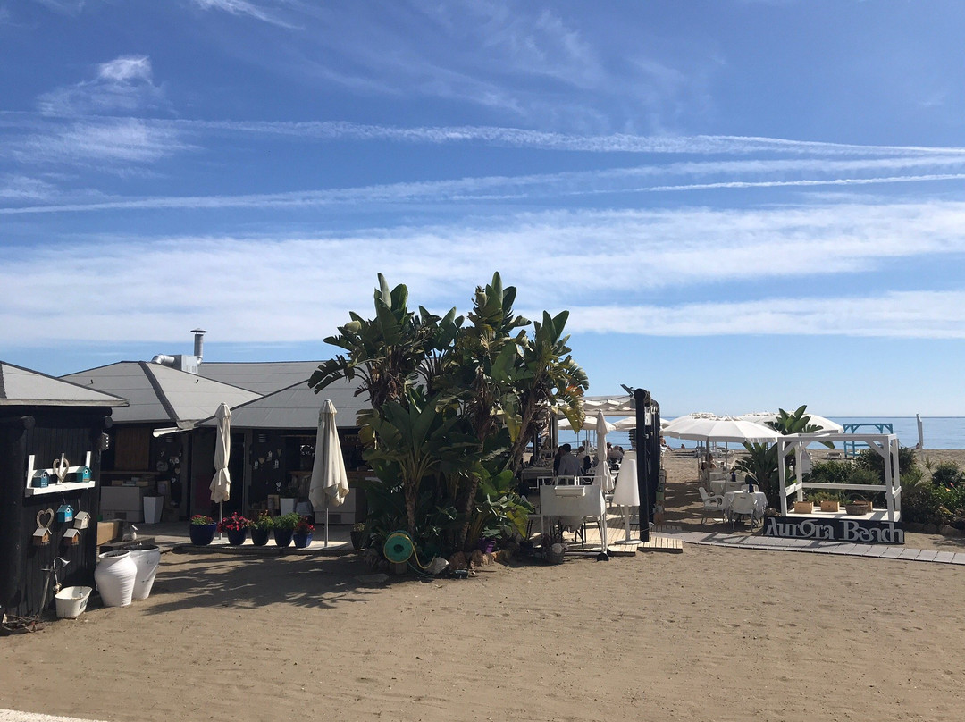Playa de la Levante景点图片
