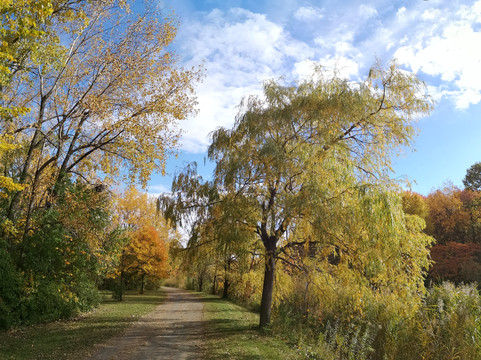 Angrignon Park-蒙特利尔必去景点