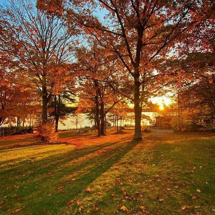 Loralea Country Inn Resort主图