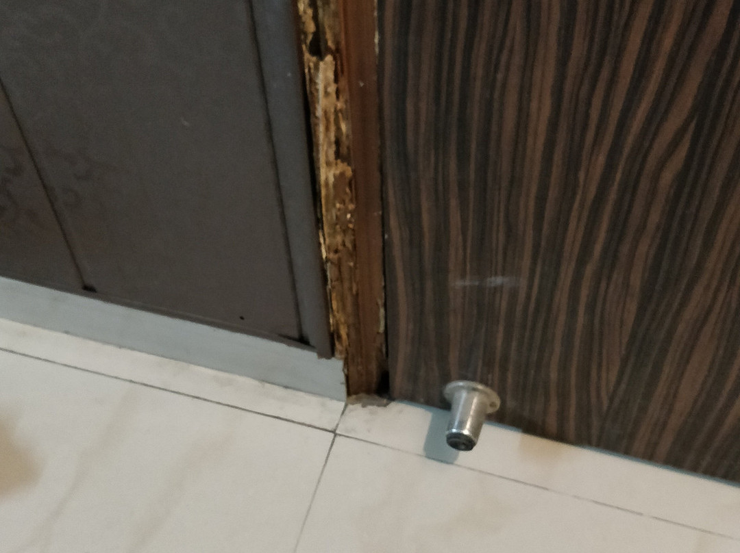 Hotel Holy Basil主图