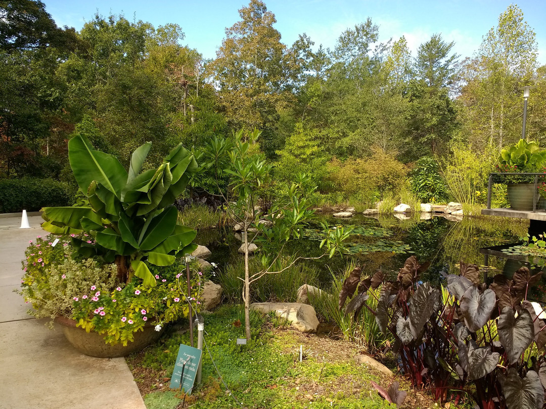 Atlanta Botanical Garden Gainesville景点图片