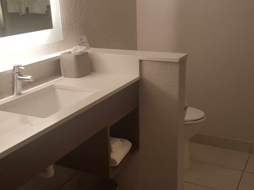 Holiday Inn Express & Suites Merrillville By IHG主图