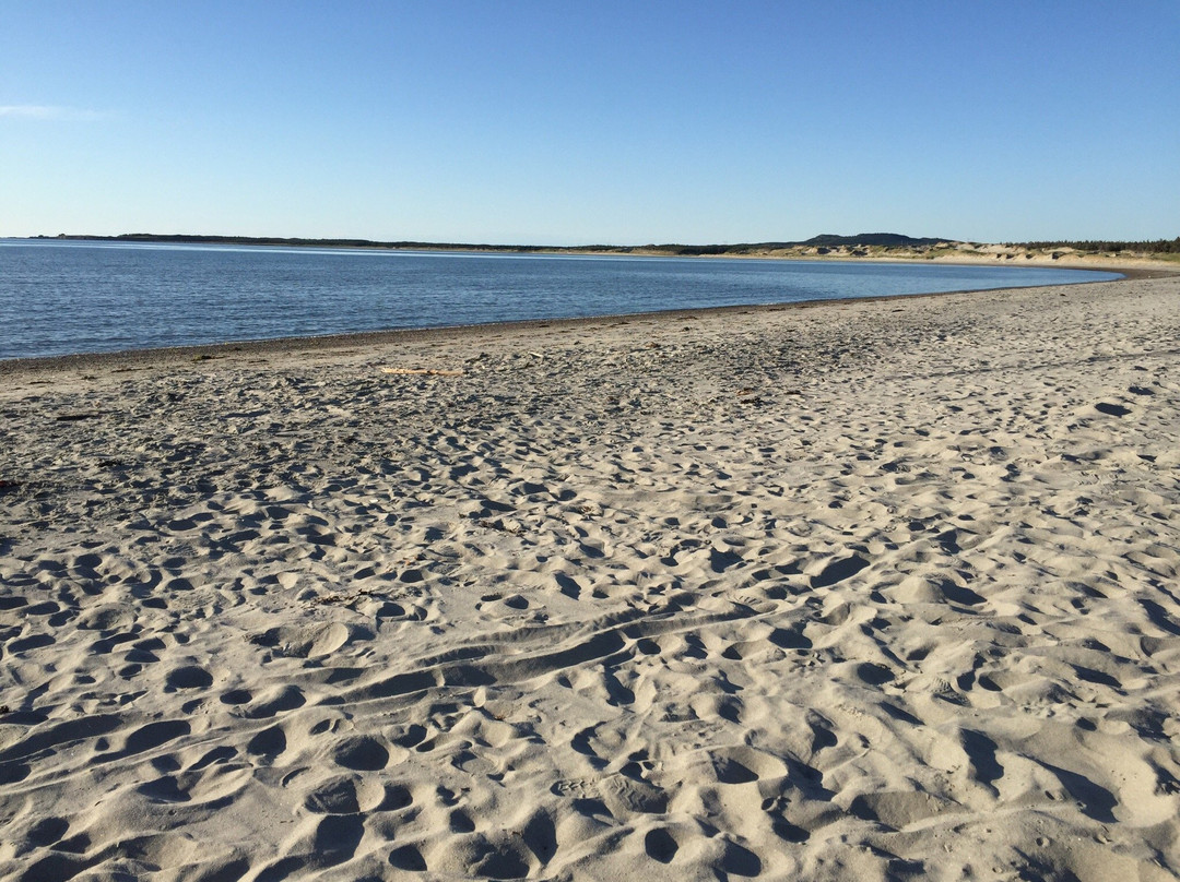 Shallow Bay Beach景点图片