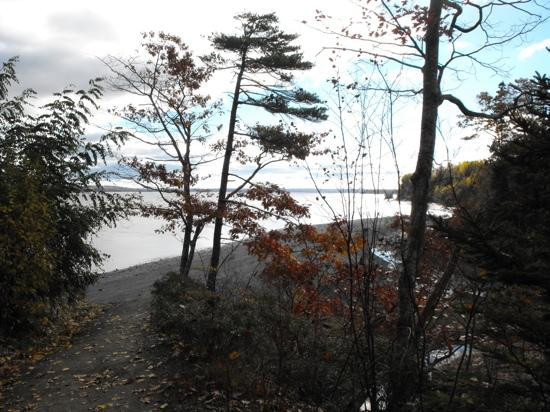 Walton旅游景点-Blue Beach Fossil Museum