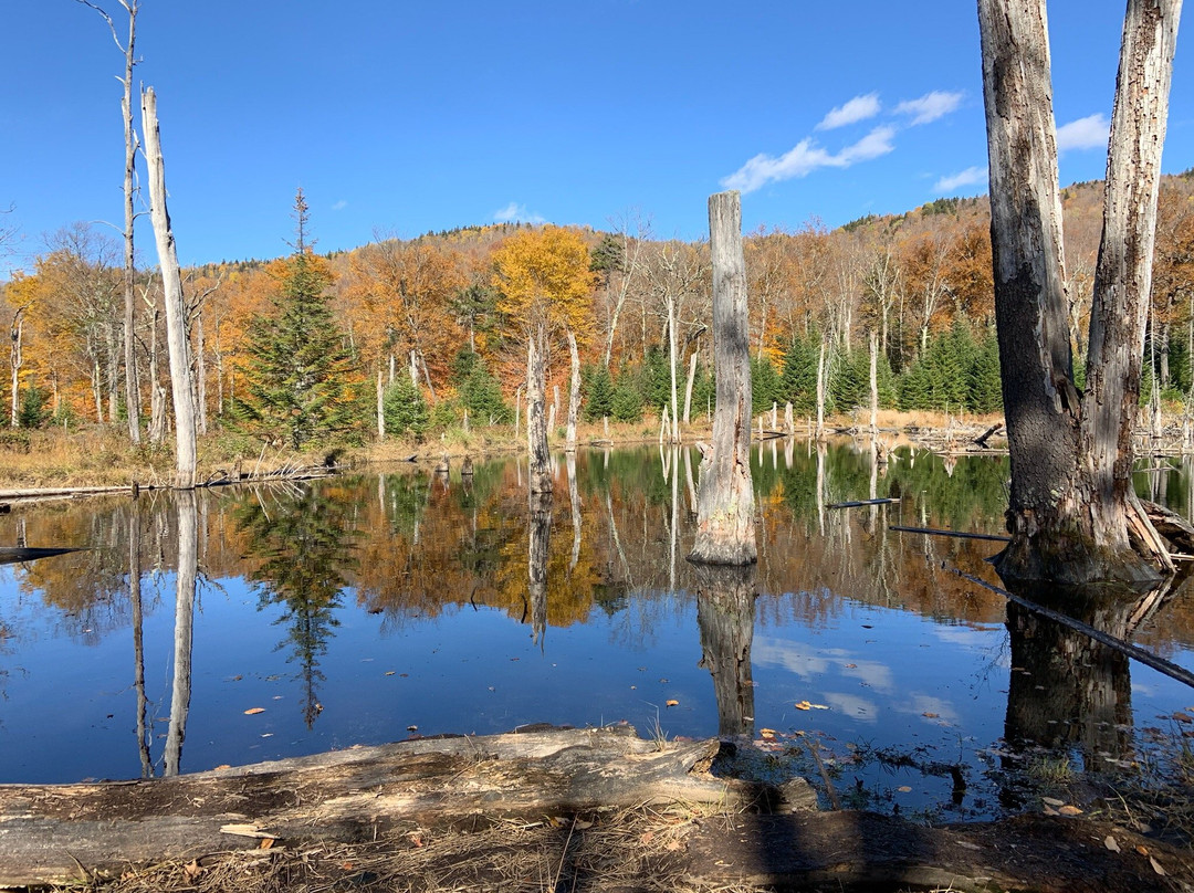 Mount Van Hoevenberg-普莱西德湖必去景点