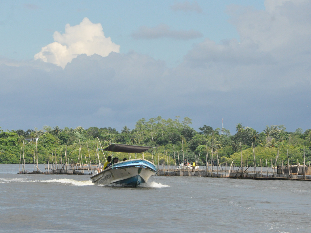 Mangrove Cave River Safari-亚洪加拉必去景点