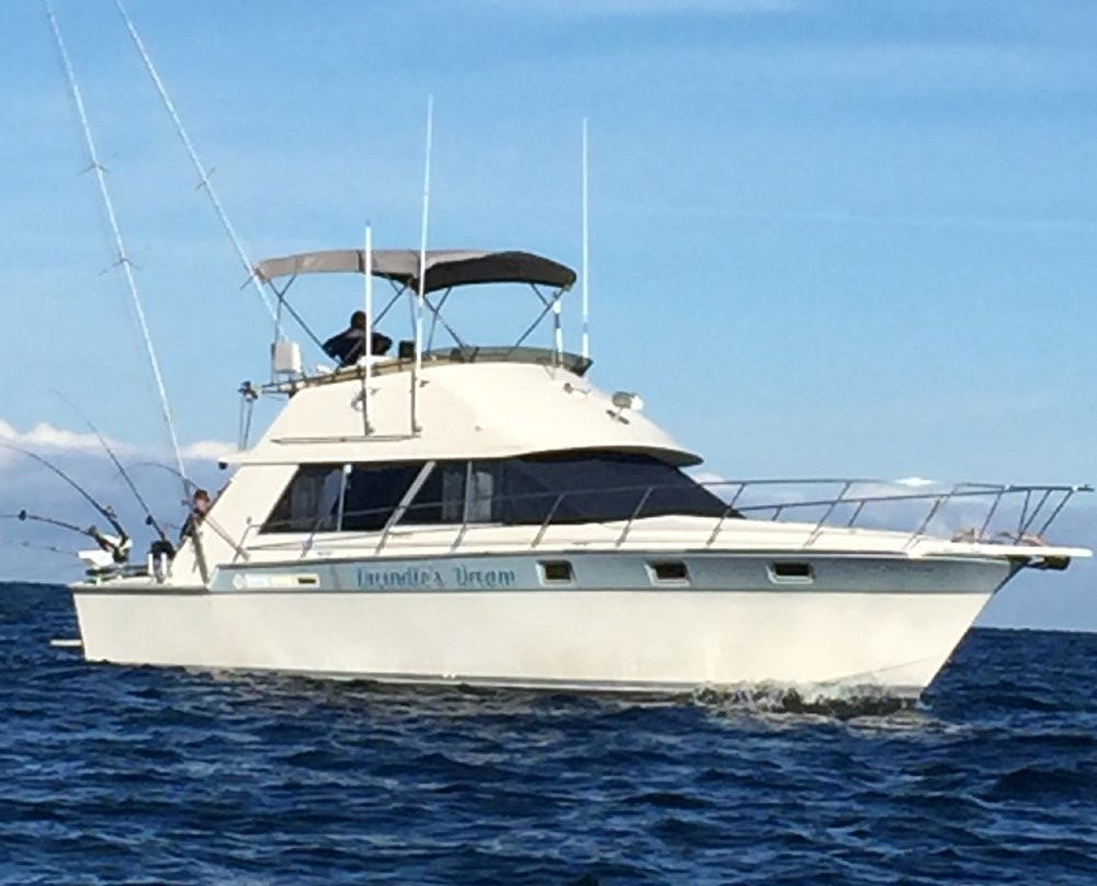 Dwindle's Dream Fishing Charters-Kincardine必去景点