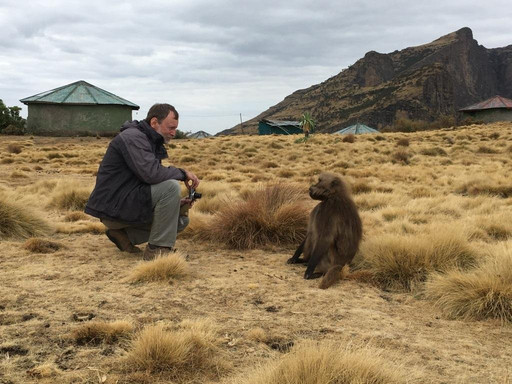 Simien Mountains Trekking And Tours (Dezy)-贡德尔必去景点