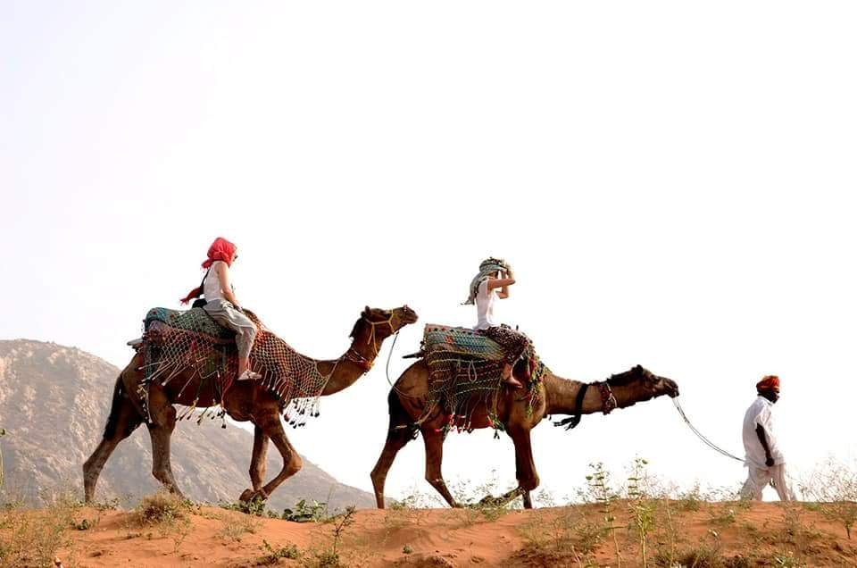Dharma Camel Safari Pushkar景点图片