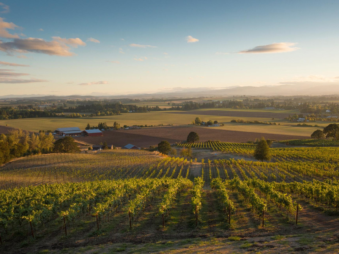 Keeler Estate Vineyard-Amity必去景点