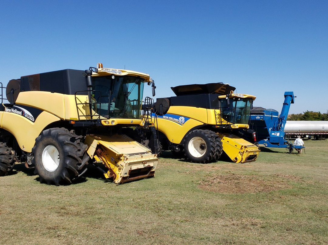 Daze in a Maze-Enid必去景点