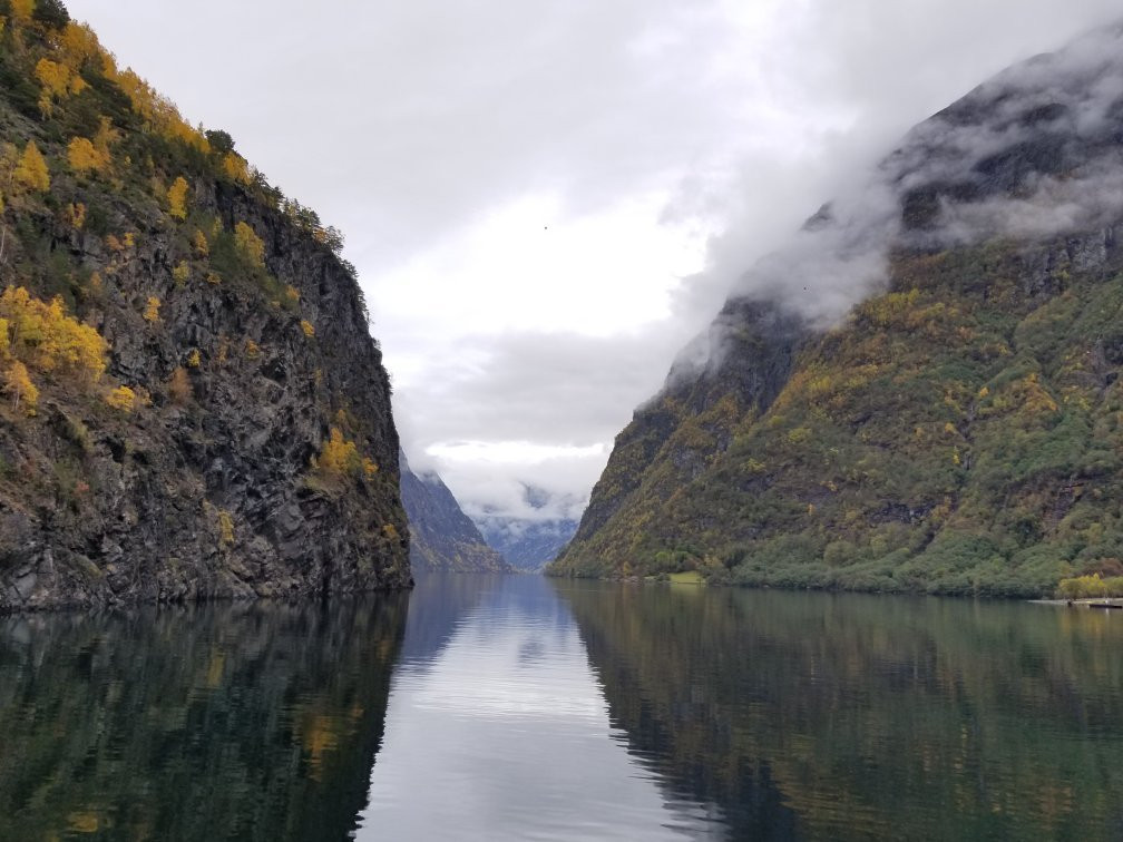 Fjord Tours景点图片