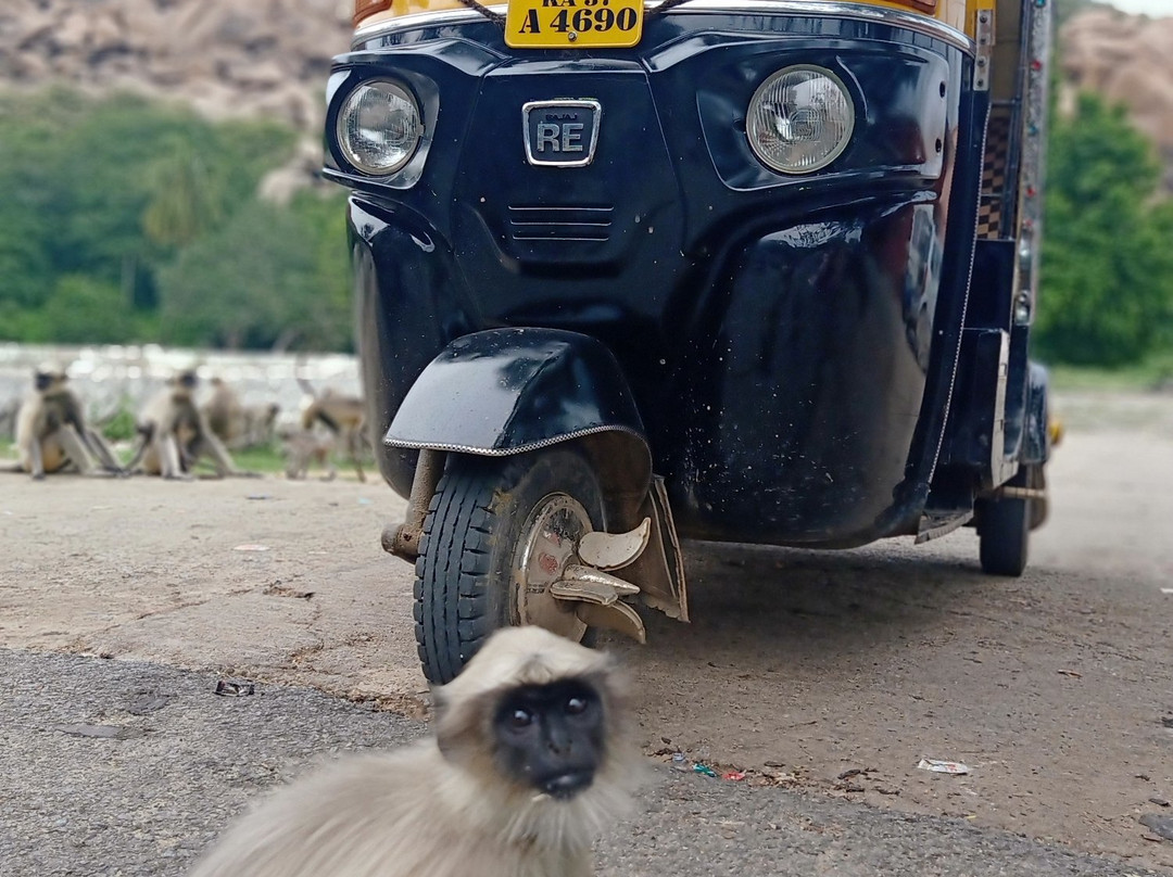 Hampi-Bellary必去景点