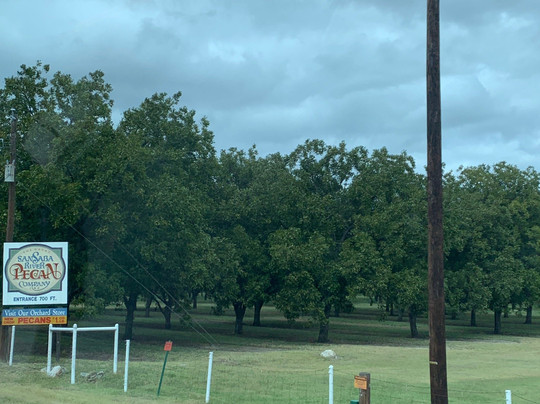 SanSaba River Pecan Company-San Saba必去景点