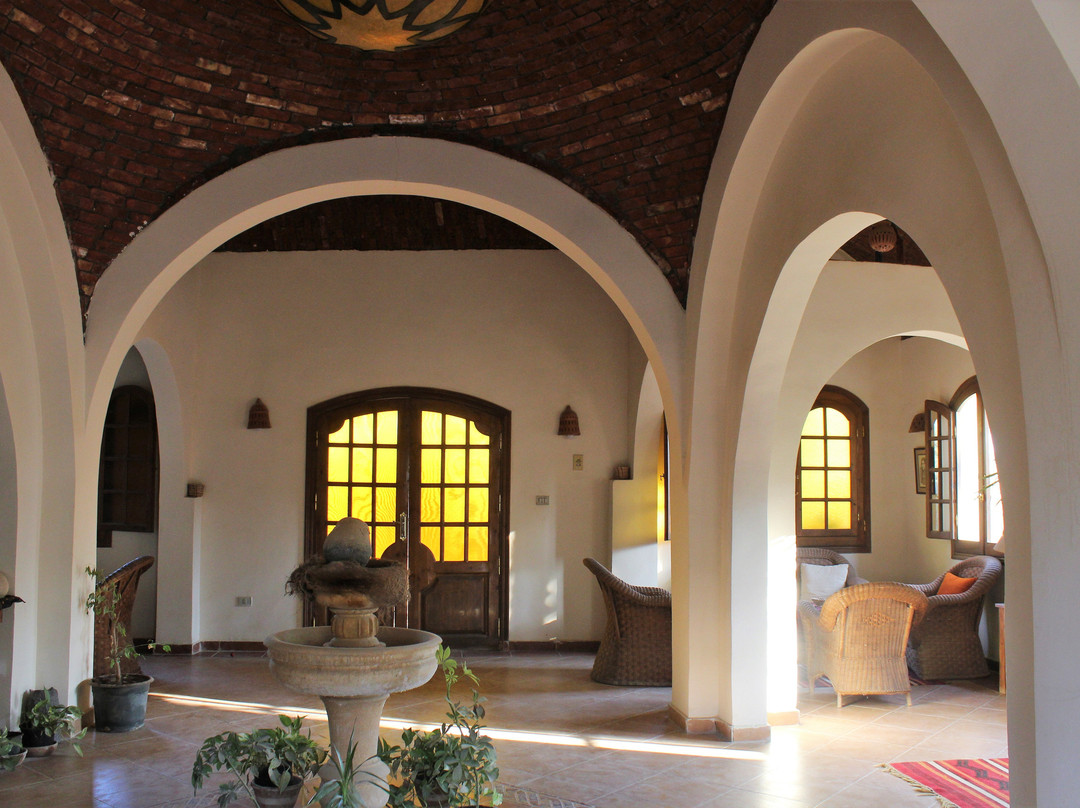 Siwa Safari Gardens Hotel主图