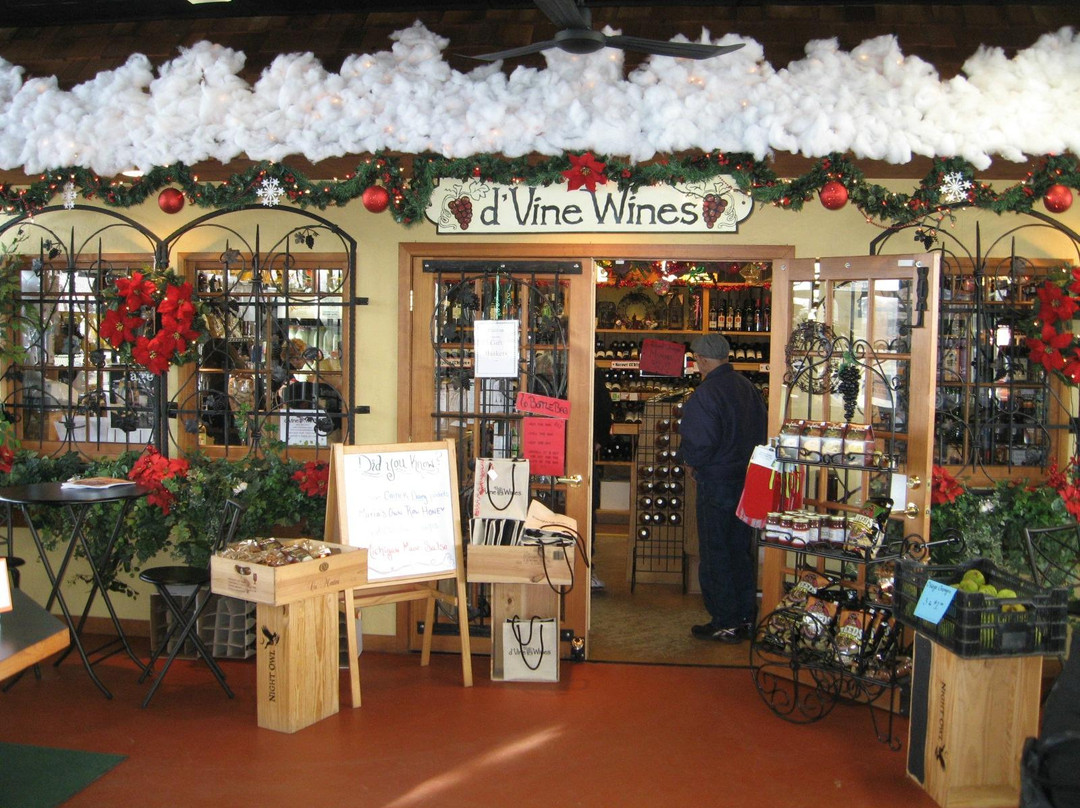 Mount Morris旅游景点-d'Vine Wines