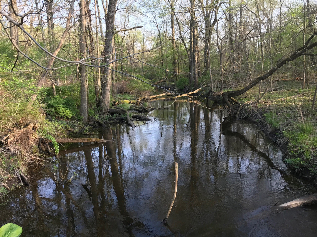 Winona Lake Trails景点图片