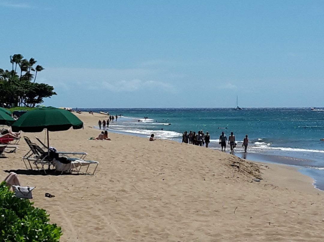 Black Rock Beach景点图片