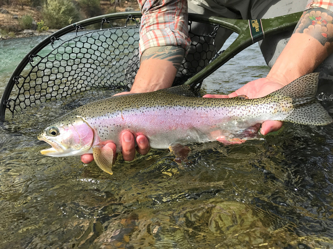 Drift On The Fly-Grass Valley必去景点