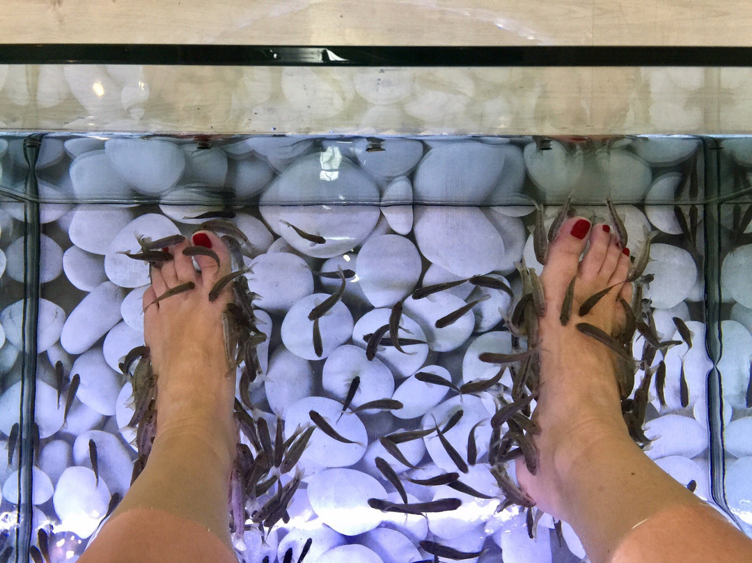 Kissingfish-费拉必去景点