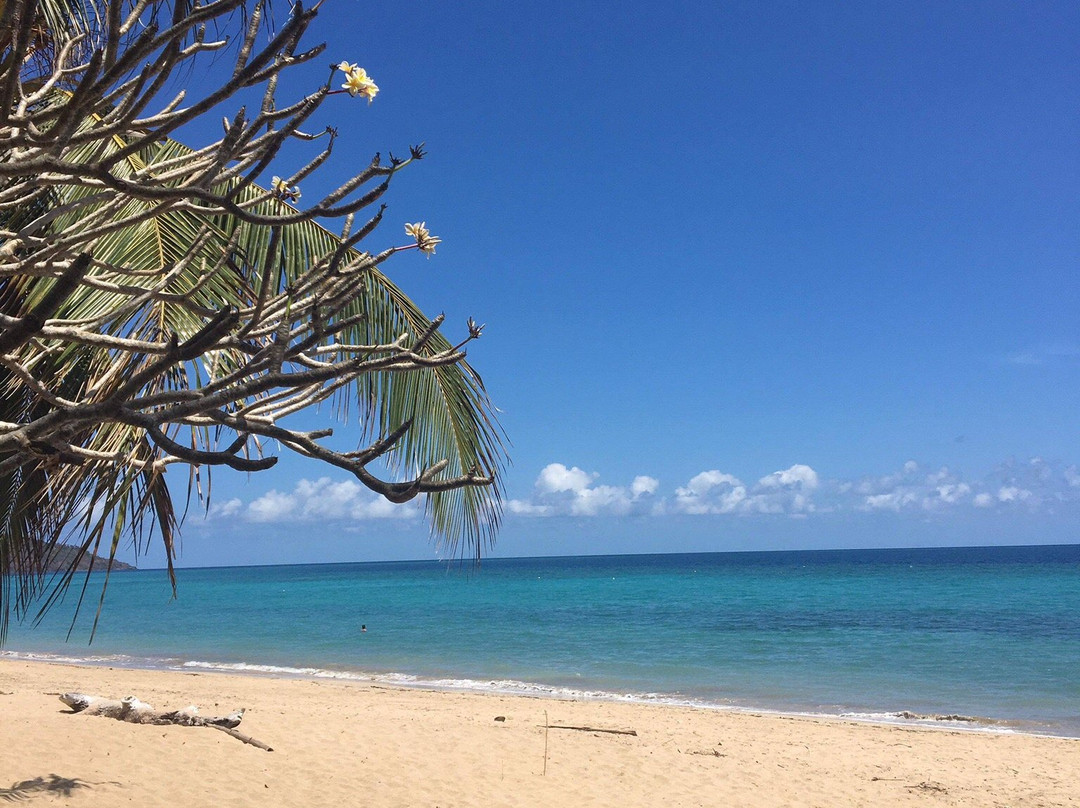 Le Maoré Lagoon Diving Center-Chirongui必去景点
