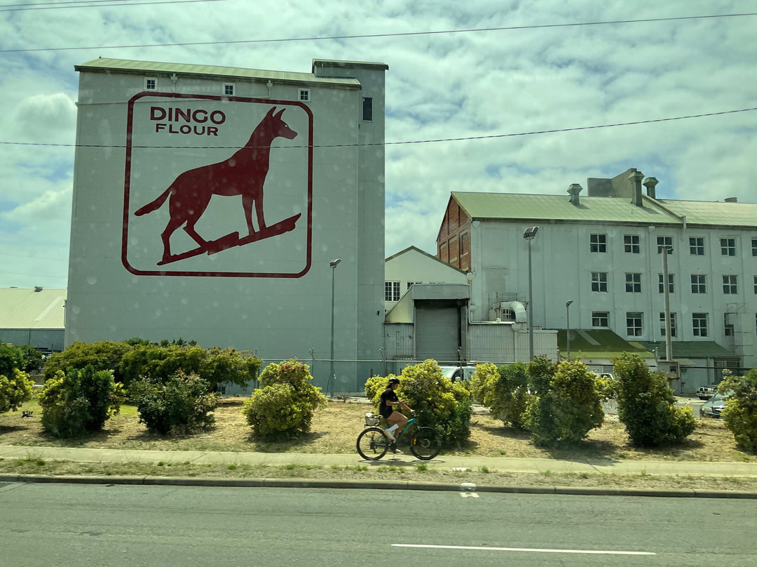 Dingo Flour Sign