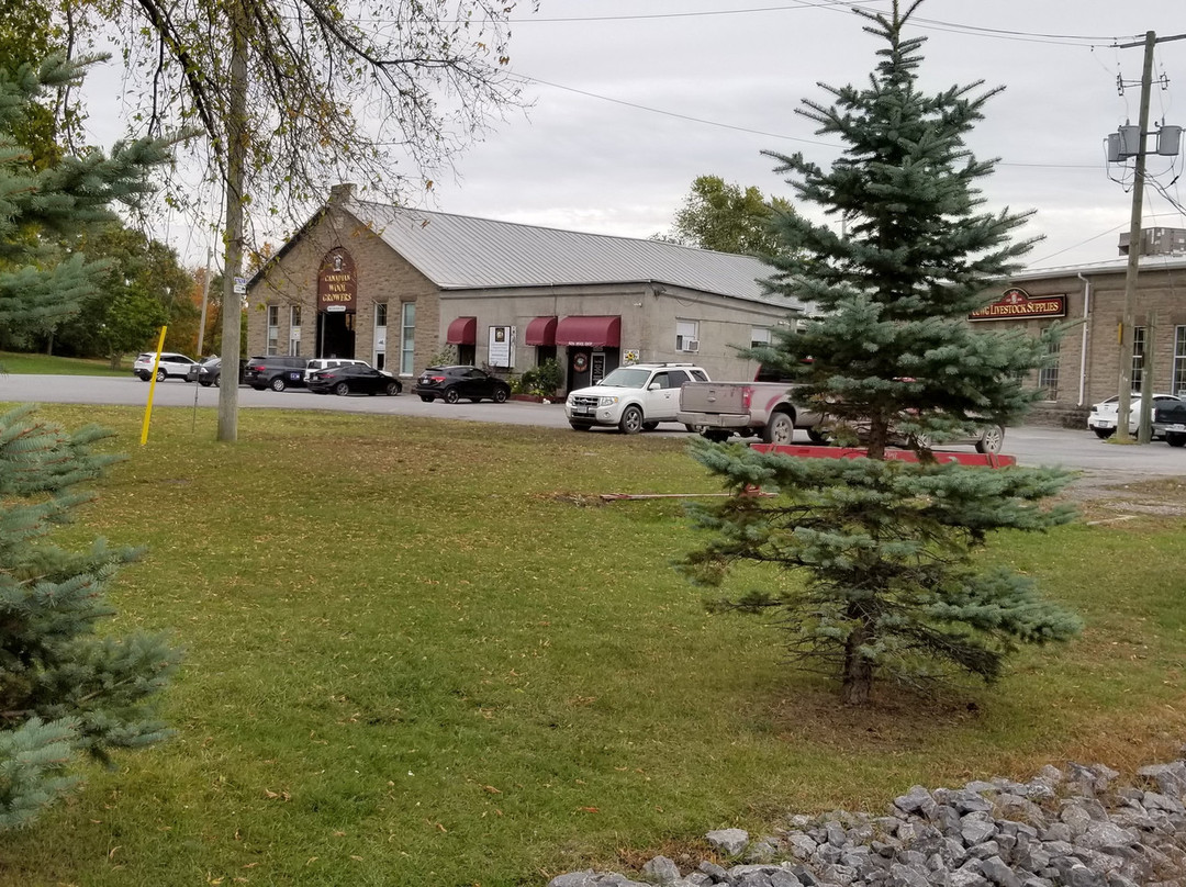 Carleton Junction-Carleton Place必去景点