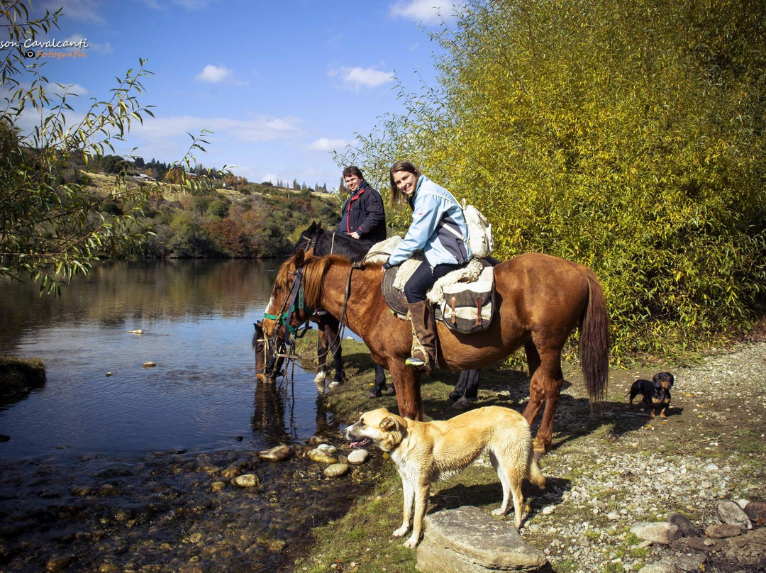 Cabalgatas & Aventura ArianePatagonia景点图片