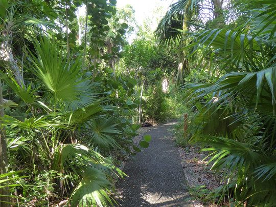 Key West Tropical Forest and Botanical Garden-基韦斯特必去景点