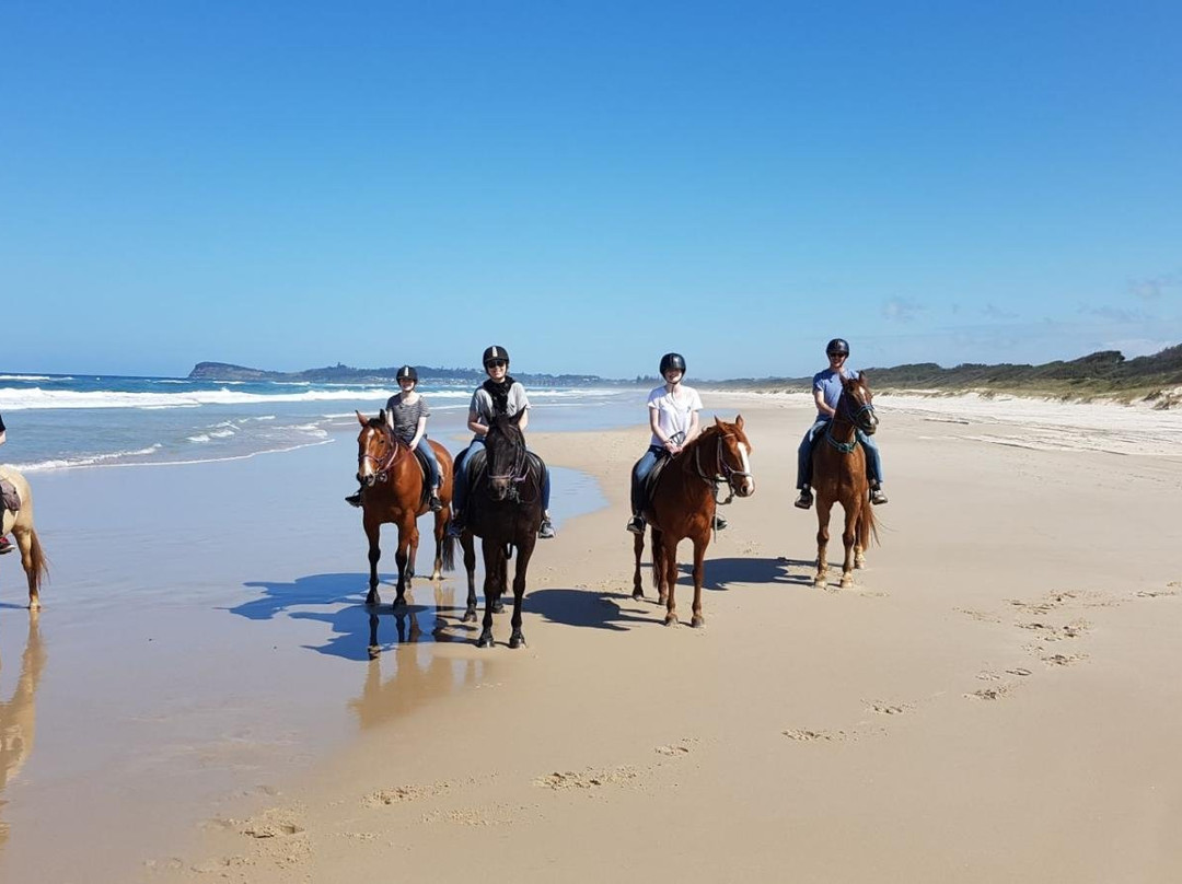 Pegasus Park Equestrian Centre-Binna Burra必去景点