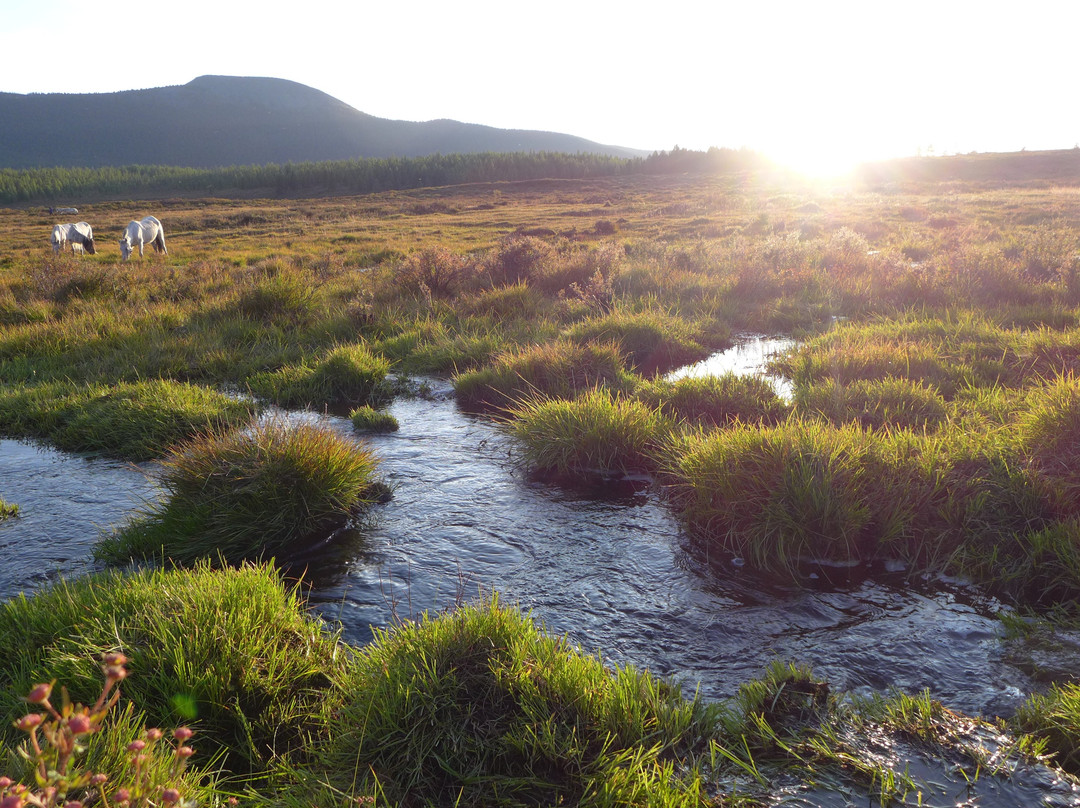Nomadic Trails-乌兰巴托必去景点
