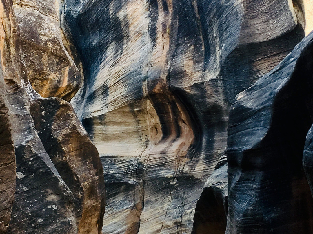 Willis Creek Slot Canyon景点图片