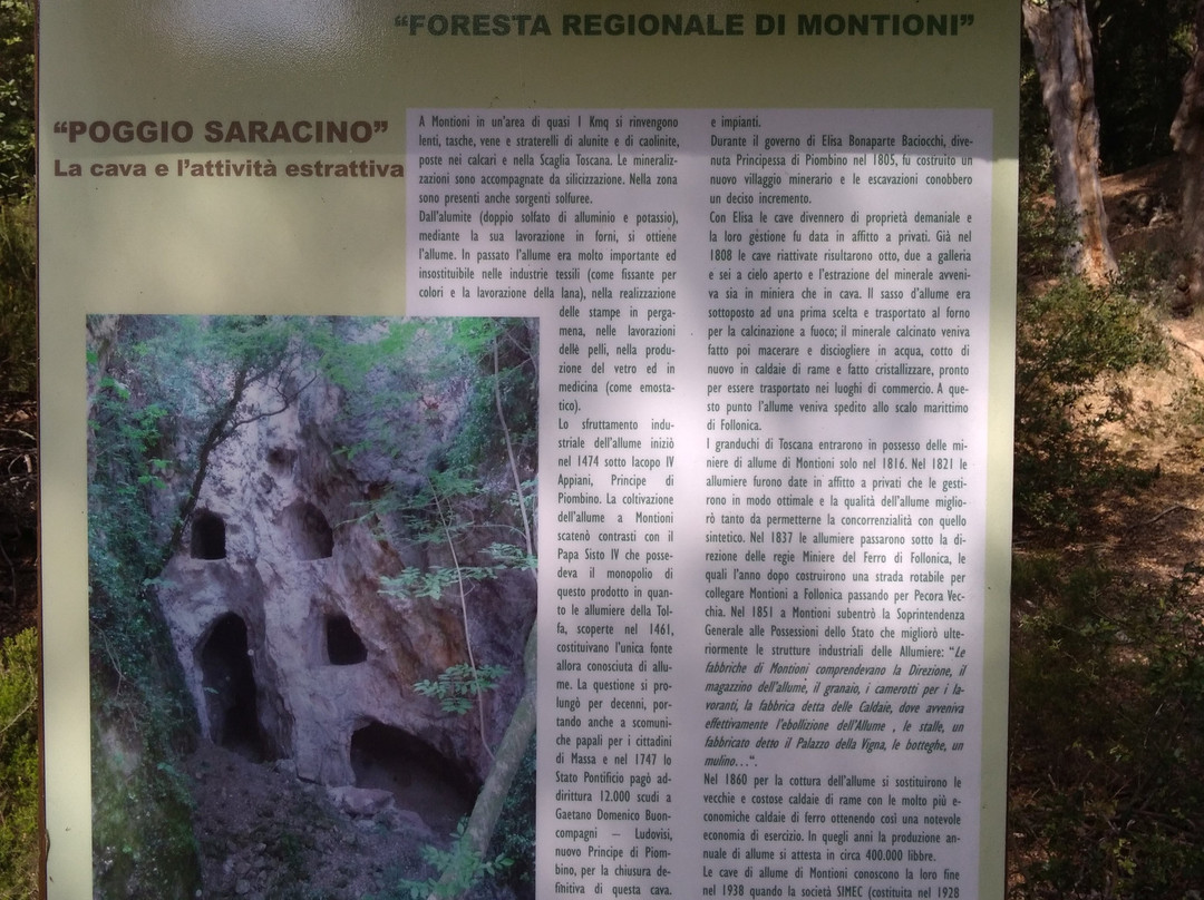 Parco Naturale di Montioni景点图片