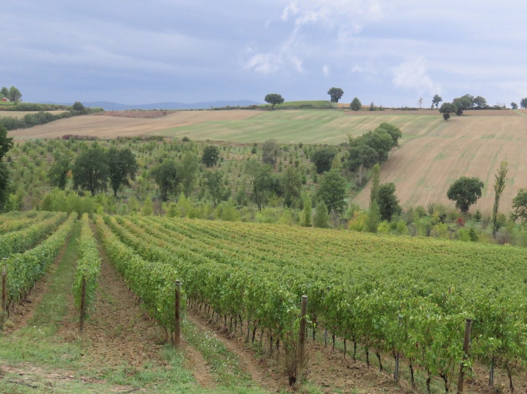 Bed & Breakfast San Marco主图