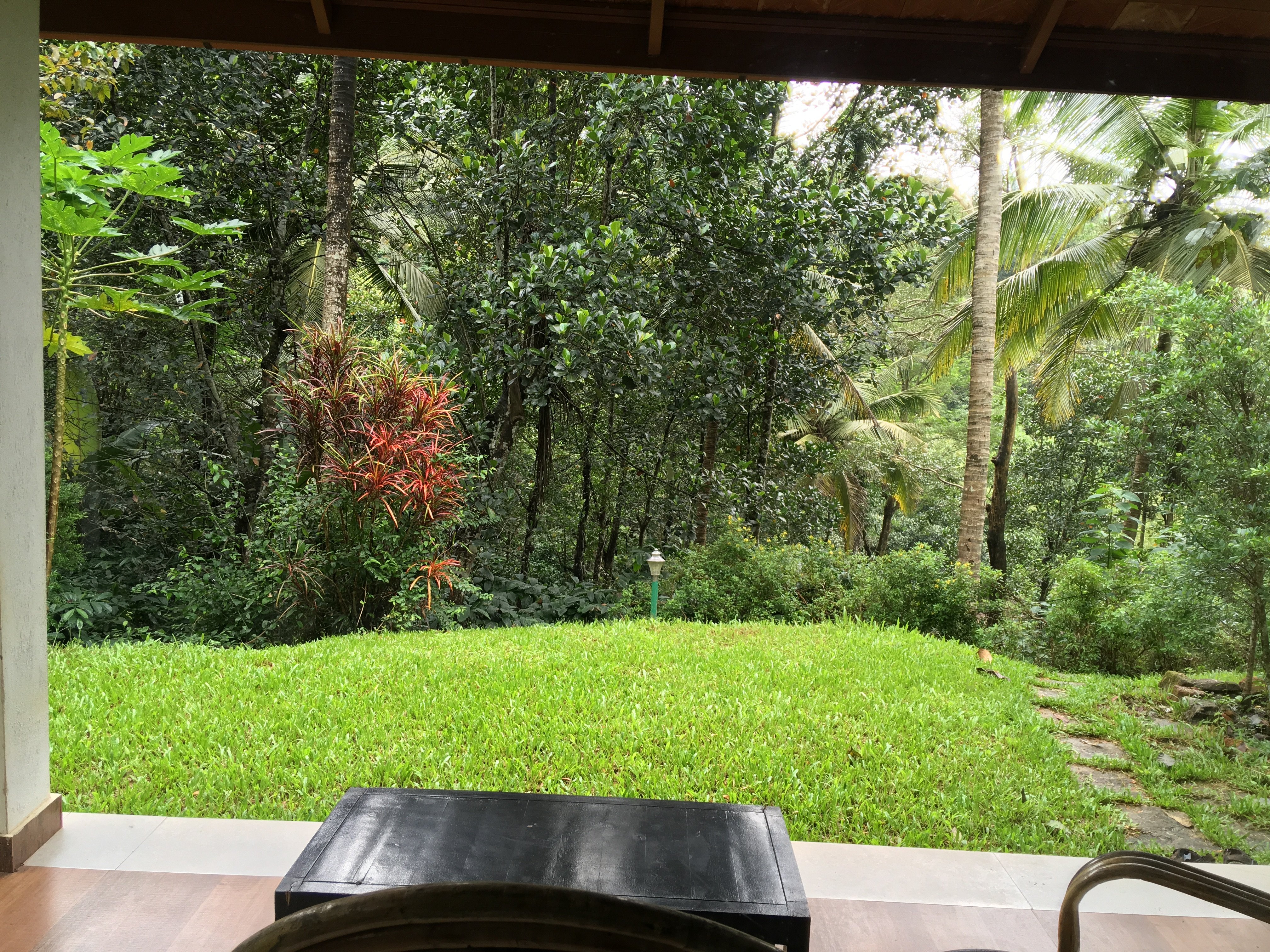 Bamboo Creek Resort-酒店景观
