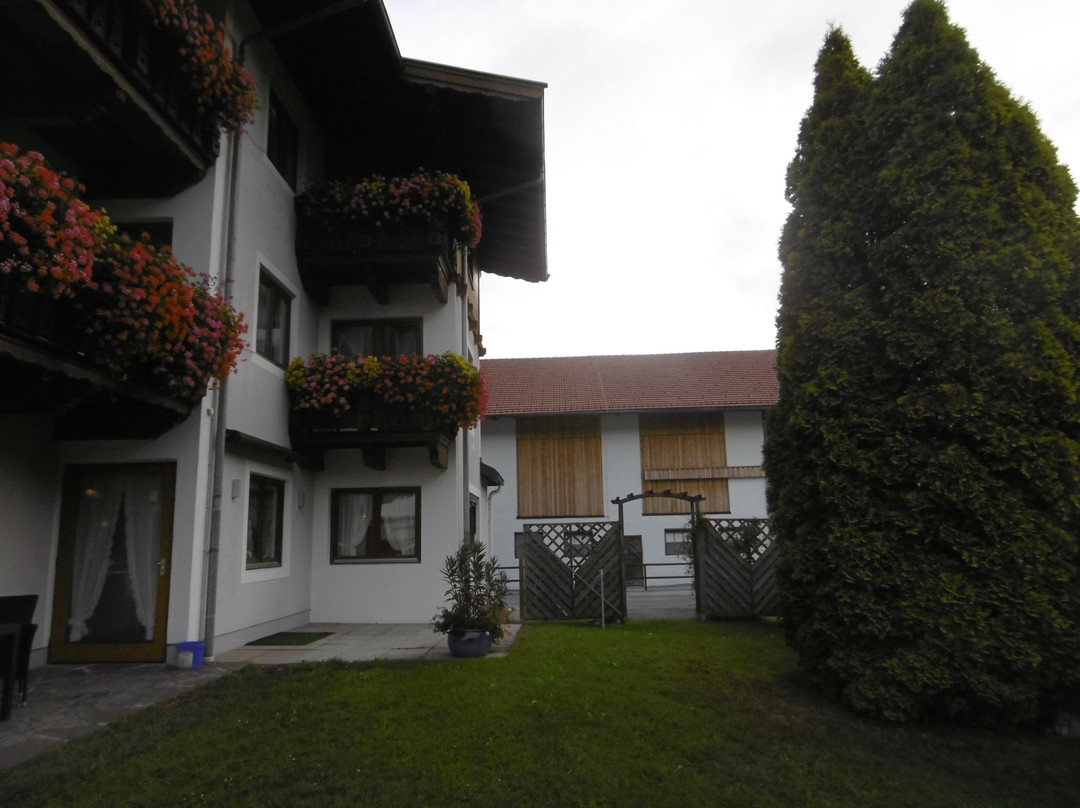 Der Michaelerhof主图