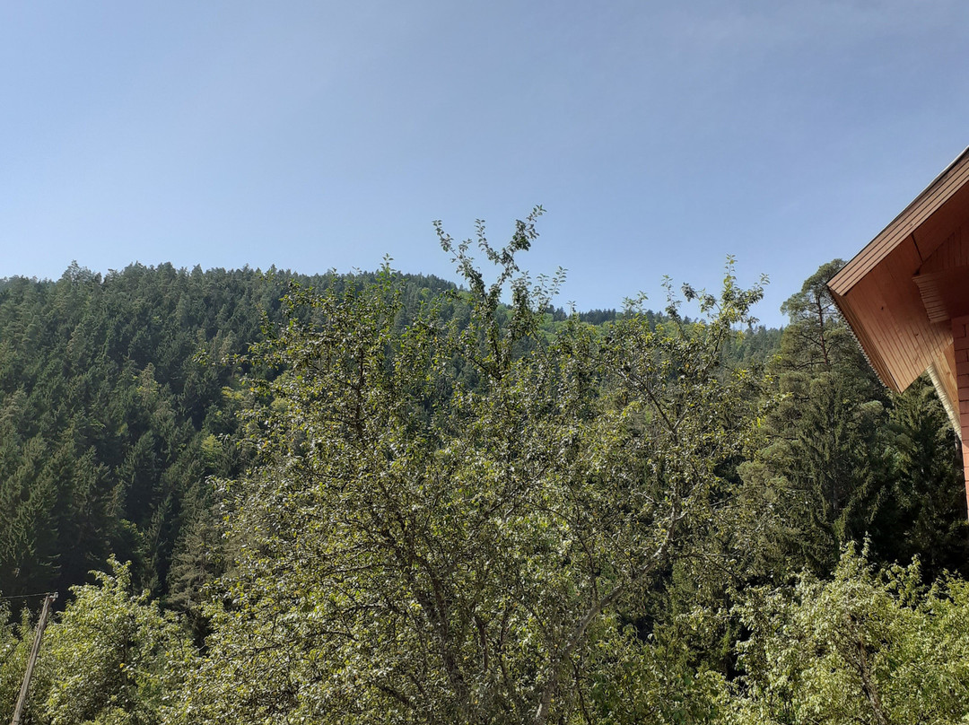 null-Borjomi-Kharagauli National Park