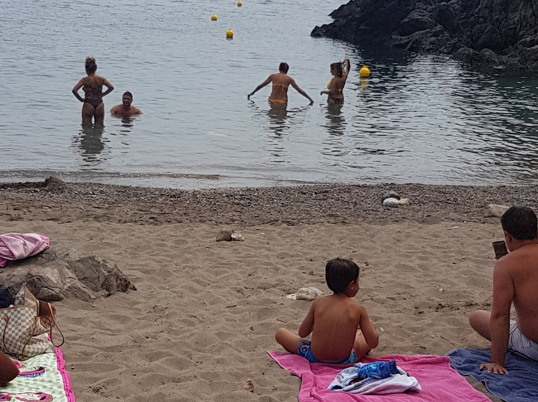 Spiaggia della Molara景点图片