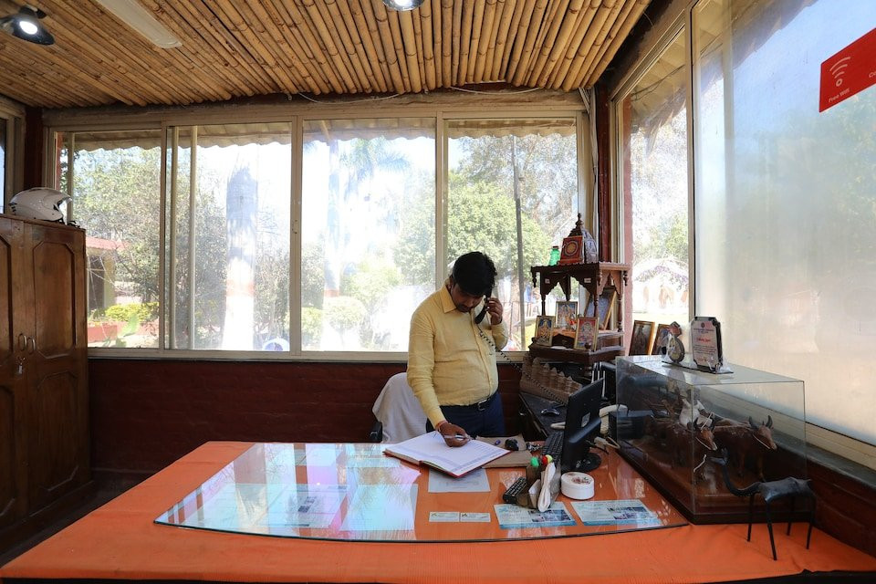 The Green Petal Resort主图