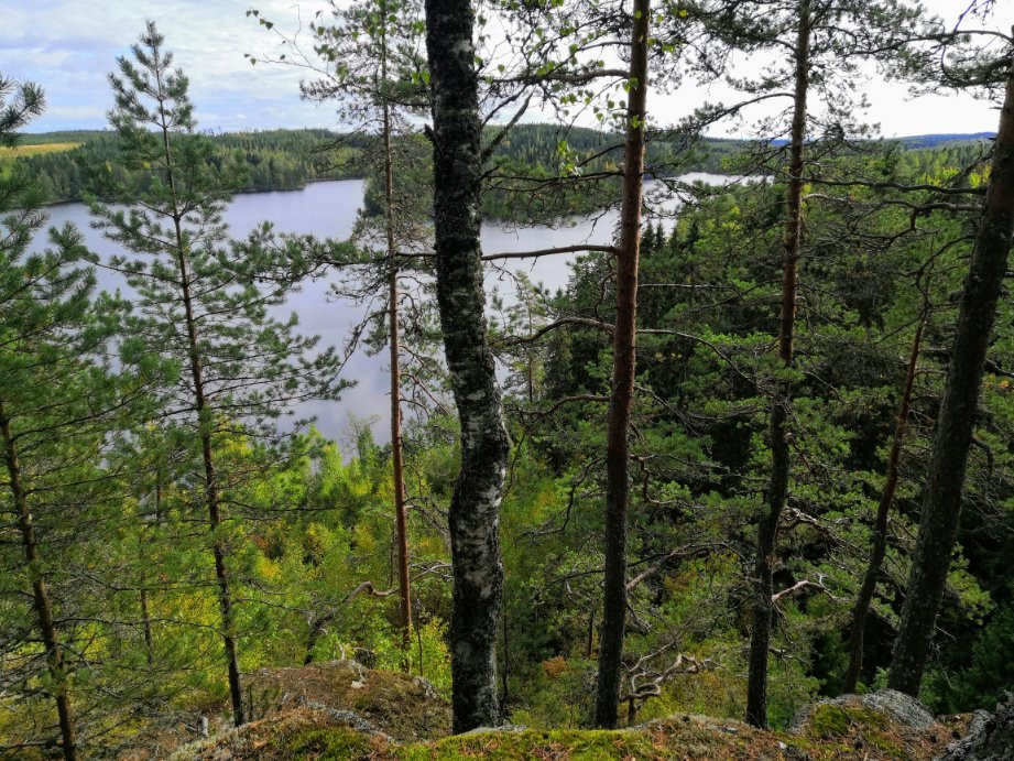 Paijalan Linnavuori-Kuhmoinen必去景点