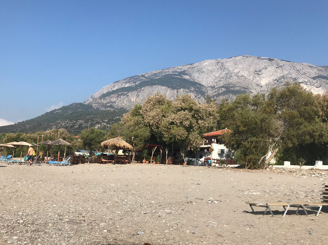 Ledra Samos Hotel主图