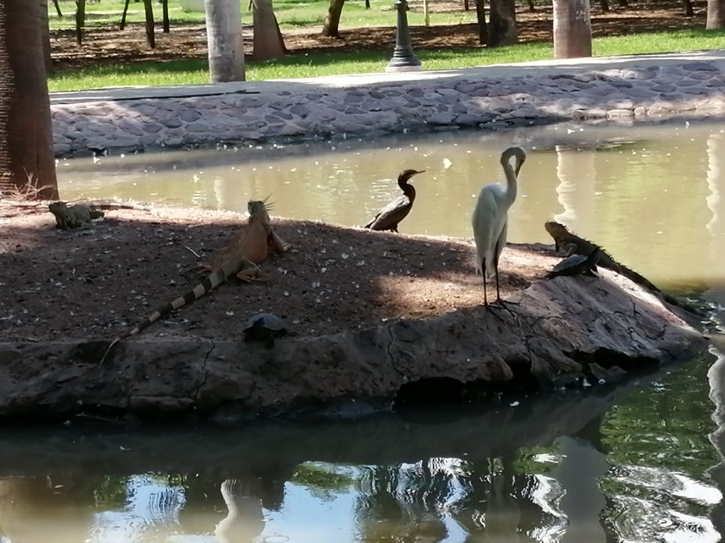 Jardín Botánico Benjamin Francis Johnston-Los Mochis必去景点