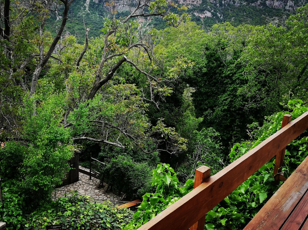 Oxygen Tours-雅典必去景点