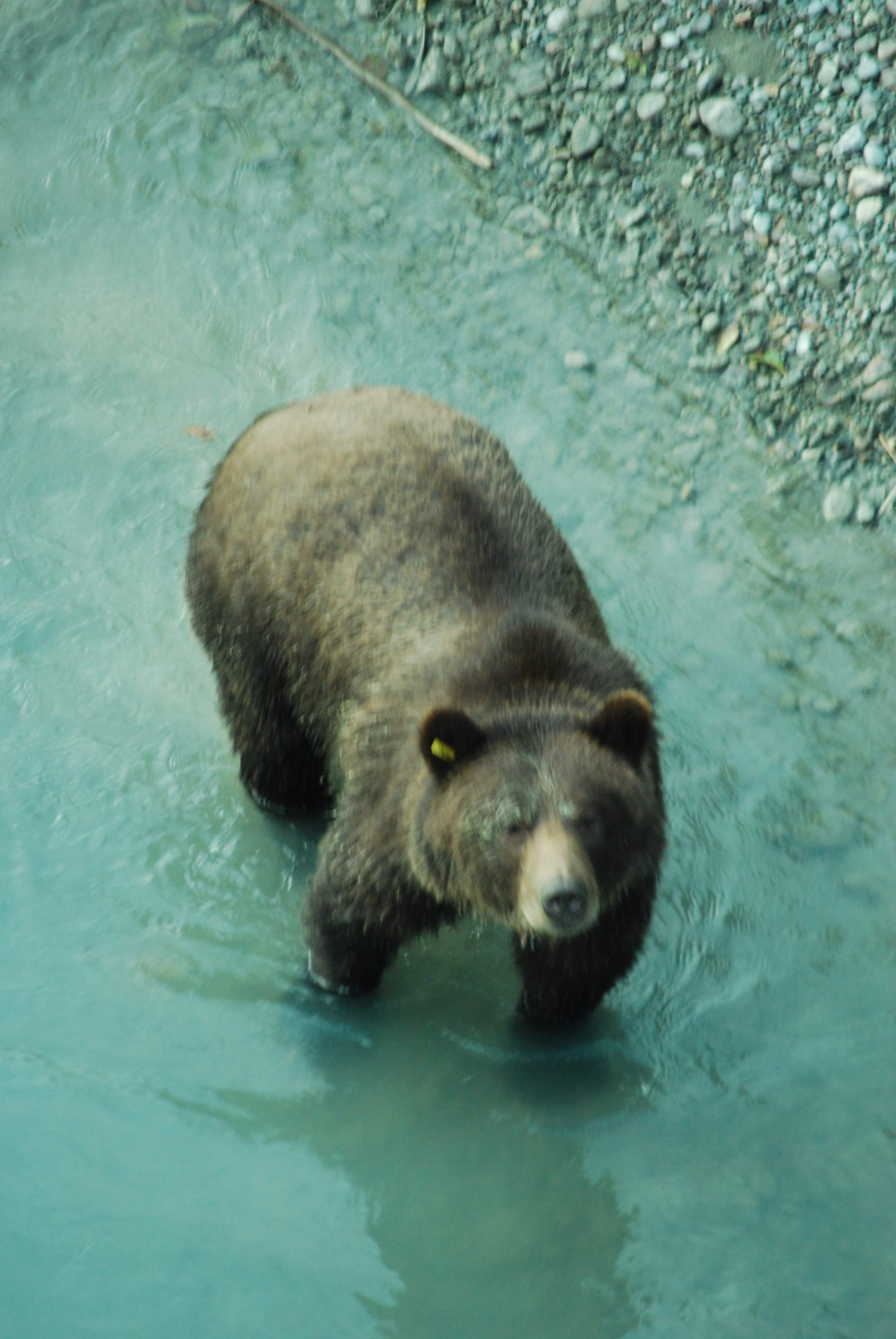 Nusatsum River Guest House-官方