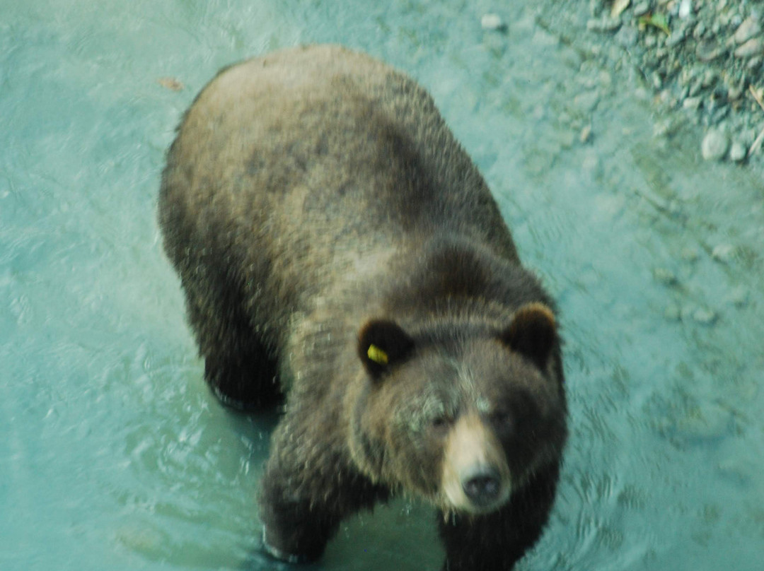 Nusatsum River Guest House主图