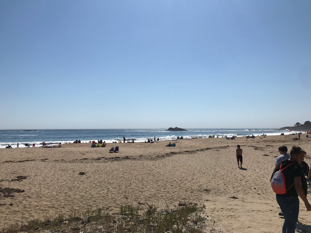 Singing Beach景点图片