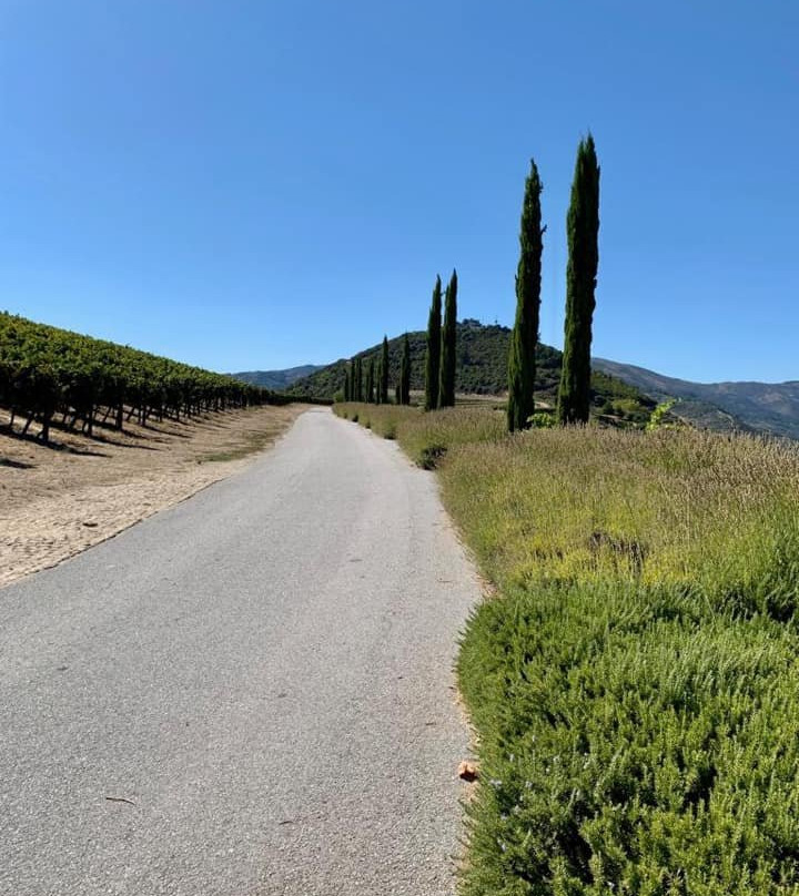 The Douro Valley景点图片